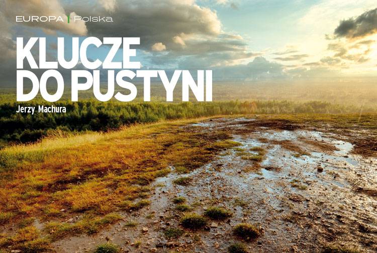 Losowy darmowy artykuł